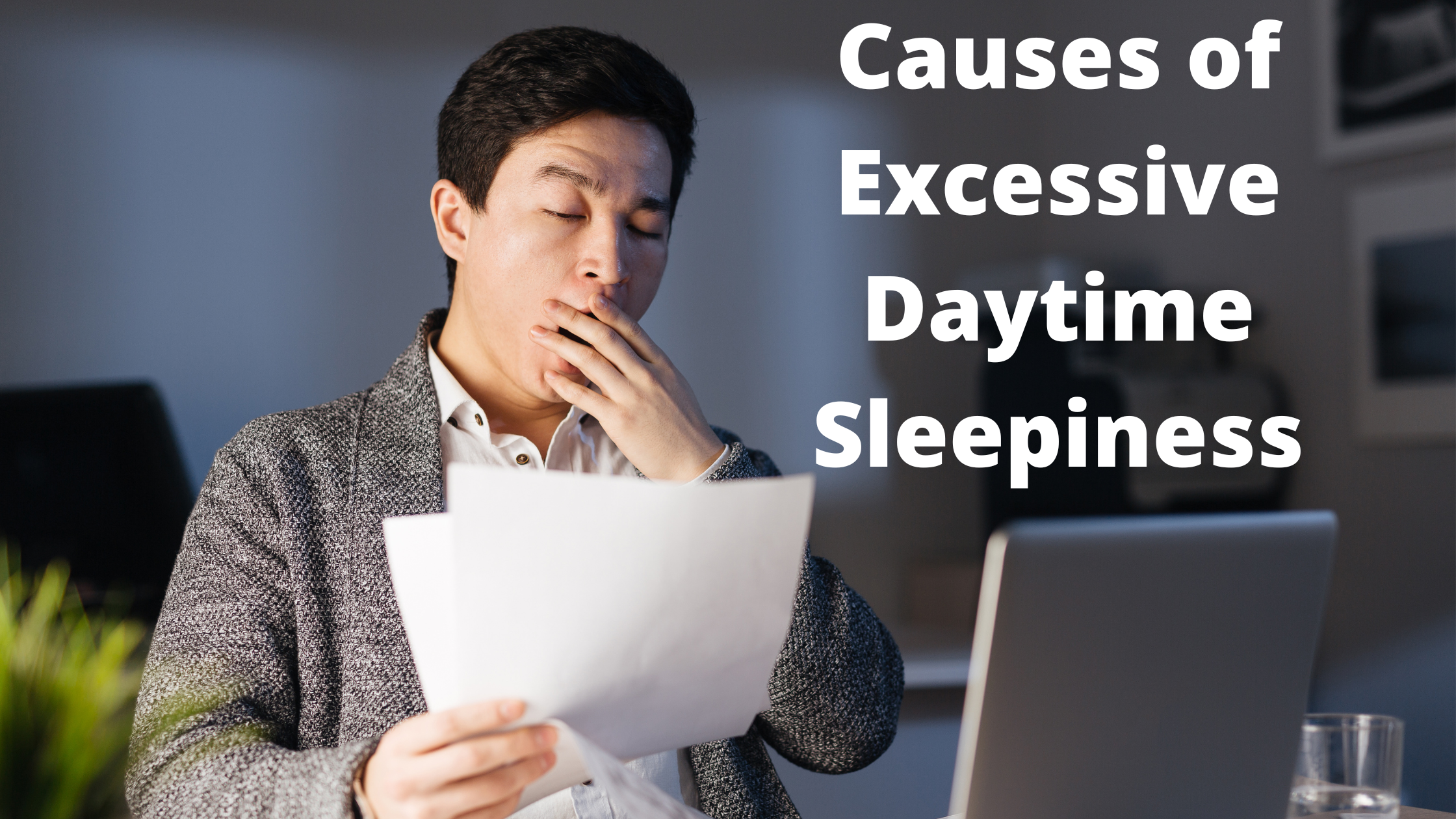 View of Causes of Excessive Sleepiness